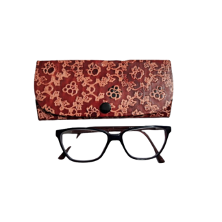 shantiniketan spectacle case