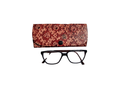 shantiniketan spectacle case