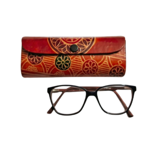 shantiniketan spectacle case