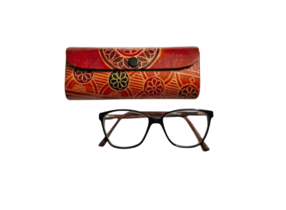 shantiniketan spectacle case