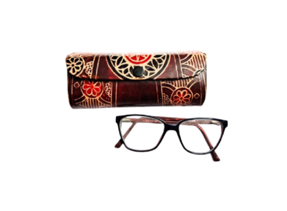 shantiniketan spectacle case