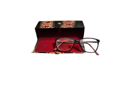 shantiniketan spectacle case