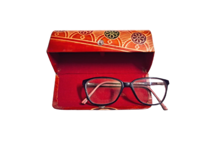 shantiniketan spectacle case