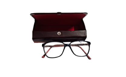 shantiniketan spectacle case