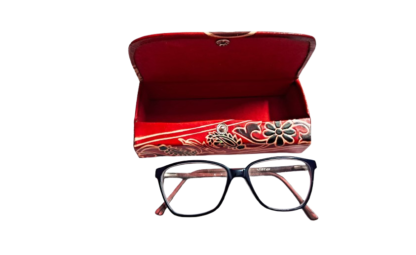 shantiniketan spectacle case