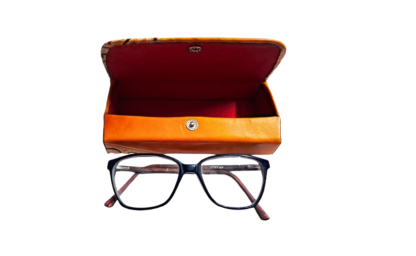 shantiniketan spectacle case