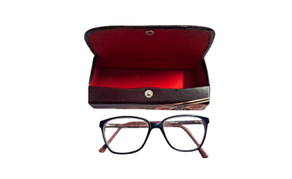 shantiniketan spectacle case