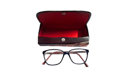shantiniketan spectacle case