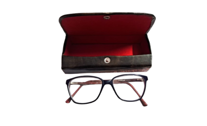 shantiniketan spectacle case