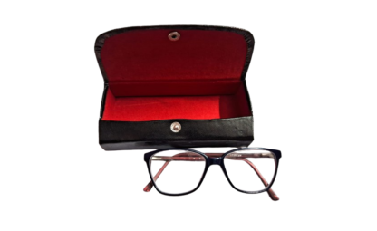 shantiniketan spectacle case
