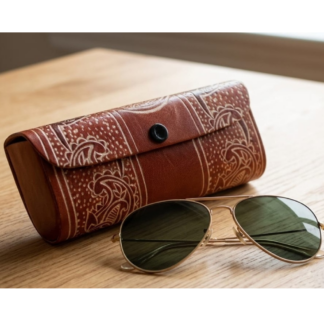 sunglass case